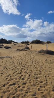 2023-GC--Mapalomas dunas-S123-070.jpg